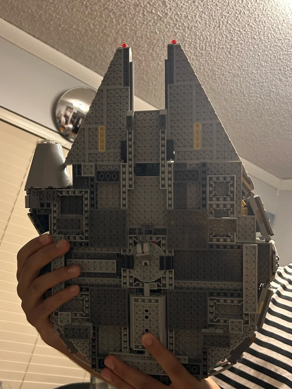 Gray millennial falcon - Picture 6 of 7